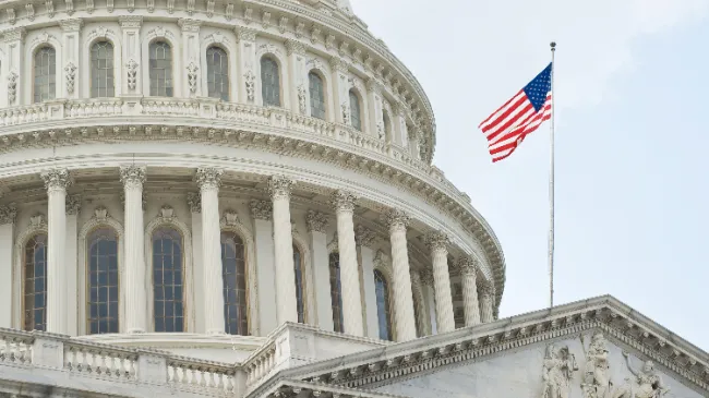 flag at the capital